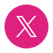 X-icon